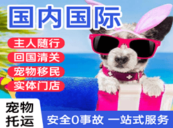 丽江航空空运国际宠物托运 【国